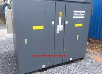 máy nén khí atlas copco 50 hp 37kw